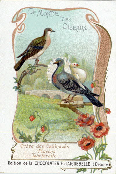 Edition de la Chocolaterie d'Aiguebelle carte réclame chromo 1900-1919 1996.40.442.36 Photo