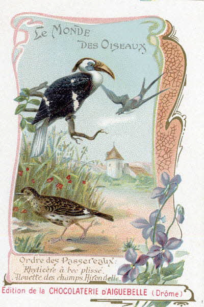 Edition de la Chocolaterie d'Aiguebelle carte réclame chromo 1900-1919 1996.40.442.37 Photo