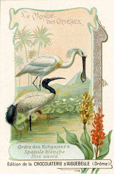 Edition de la Chocolaterie d'Aiguebelle carte réclame chromo 1900-1919 1996.40.442.41 Photo