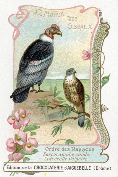 Edition de la Chocolaterie d'Aiguebelle carte réclame chromo 1900-1919 1996.40.442.39 Photo