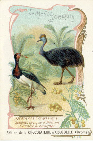 Edition de la Chocolaterie d'Aiguebelle carte réclame chromo 1900-1919 1996.40.442.42 Photo