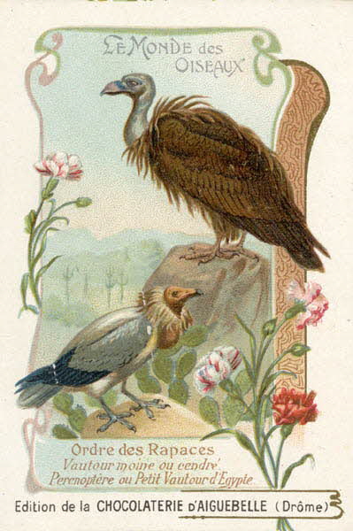 Edition de la Chocolaterie d'Aiguebelle carte réclame chromo 1900-1919 1996.40.442.44 Photo