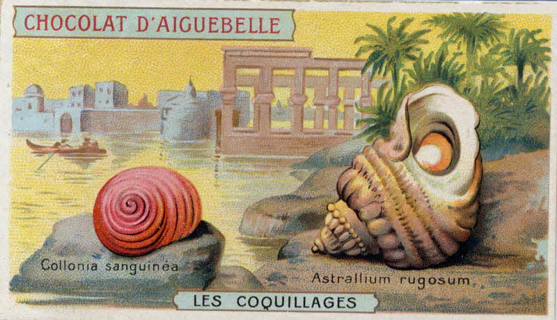 Edition de la Chocolaterie d'Aiguebelle carte réclame chromo Aiguebelle 1900-1919 1996.40.365.4 Photo