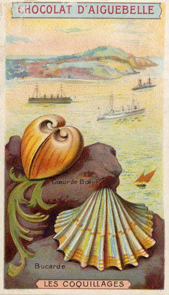 Edition de la Chocolaterie d'Aiguebelle carte réclame chromo Aiguebelle 1900-1919 1996.40.365.3 Photo