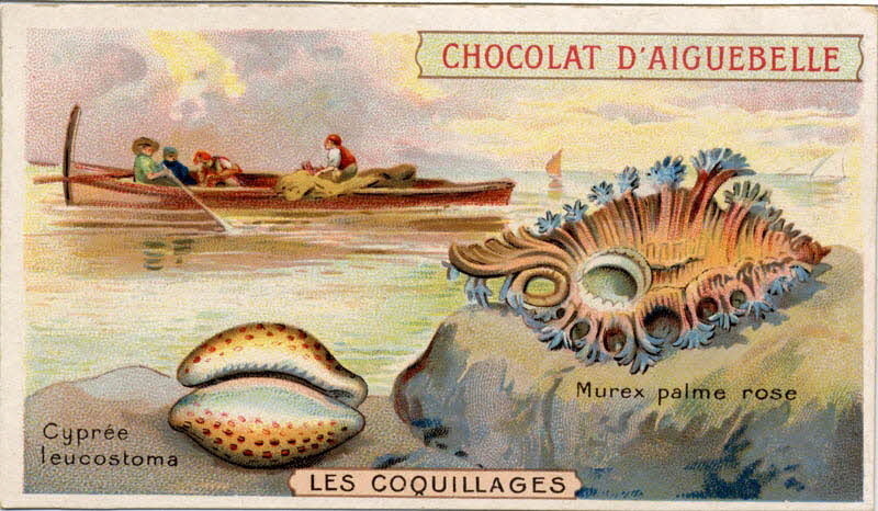 Edition de la Chocolaterie d'Aiguebelle carte réclame chromo Aiguebelle 1900-1919 1996.40.365.5 Photo