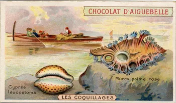 Edition de la Chocolaterie d'Aiguebelle carte réclame chromo Aiguebelle 1900-1919 1996.40.365.5  Photo