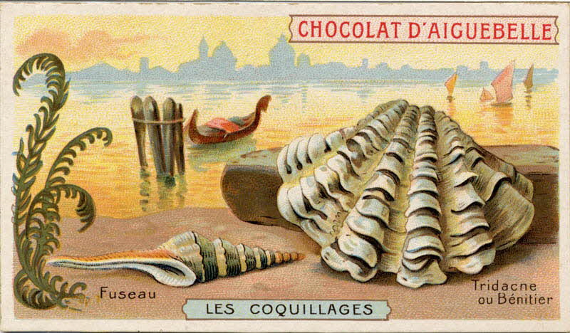 Edition de la Chocolaterie d'Aiguebelle carte réclame chromo Aiguebelle 1900-1919 1996.40.365.6 Photo