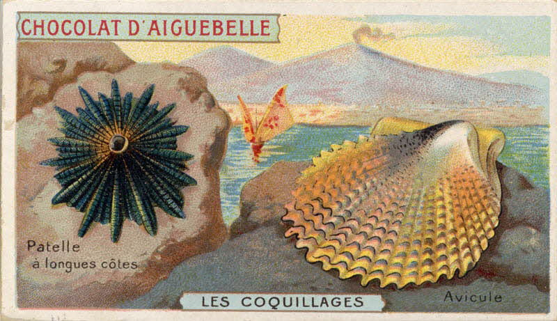 Edition de la Chocolaterie d'Aiguebelle carte réclame chromo Aiguebelle 1900-1919 1996.40.365.9 Photo