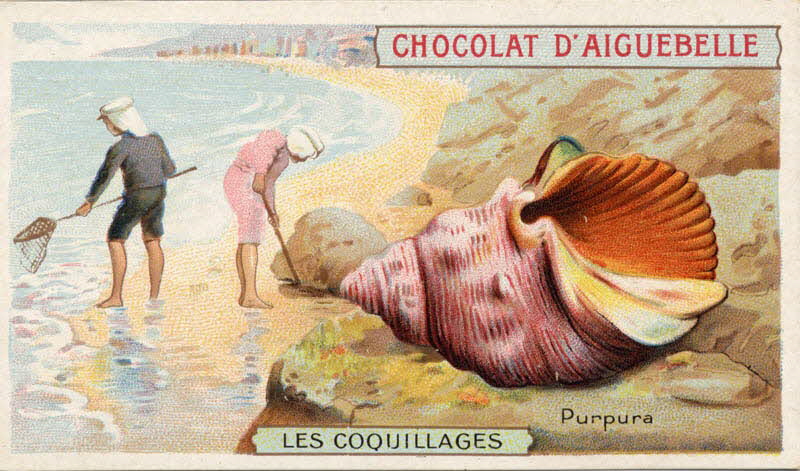 Edition de la Chocolaterie d'Aiguebelle carte réclame chromo Aiguebelle 1900-1919 1996.40.365.11 Photo