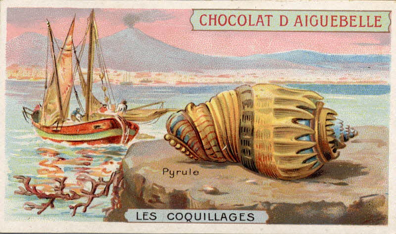 Edition de la Chocolaterie d'Aiguebelle carte réclame chromo Aiguebelle 1900-1919 1996.40.365.12 Photo