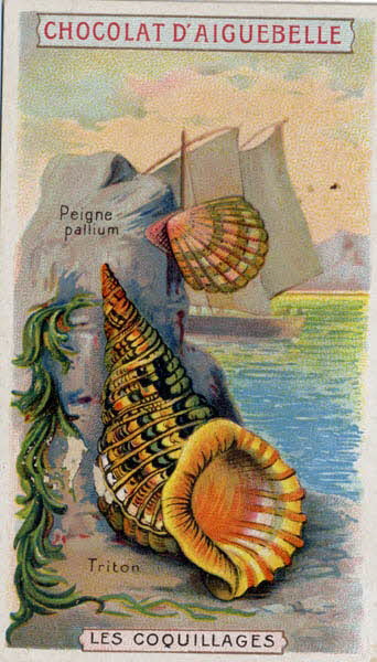 Edition de la Chocolaterie d'Aiguebelle carte réclame chromo Aiguebelle 1900-1919 1996.40.365.10 Photo