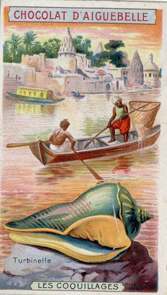 Edition de la Chocolaterie d'Aiguebelle carte réclame chromo Aiguebelle 1900-1919 1996.40.365.14 Photo