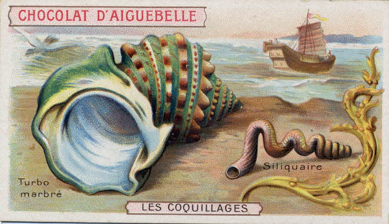 Edition de la Chocolaterie d'Aiguebelle carte réclame chromo Aiguebelle 1900-1919 1996.40.365.15 Photo