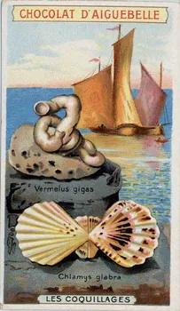 Edition de la Chocolaterie d'Aiguebelle carte réclame chromo Aiguebelle 1900-1919 1996.40.365.16  Photo