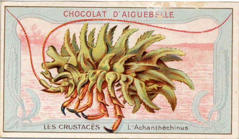 Edition de la Chocolaterie d'Aiguebelle carte réclame chromo Aiguebelle 1900-1919 1996.40.366.1 Photo