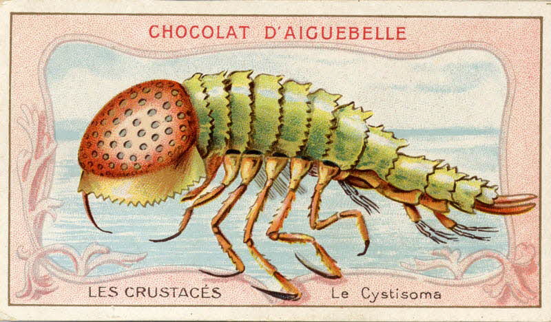 Edition de la Chocolaterie d'Aiguebelle carte réclame chromo Aiguebelle 1900-1919 1996.40.366.2 Photo