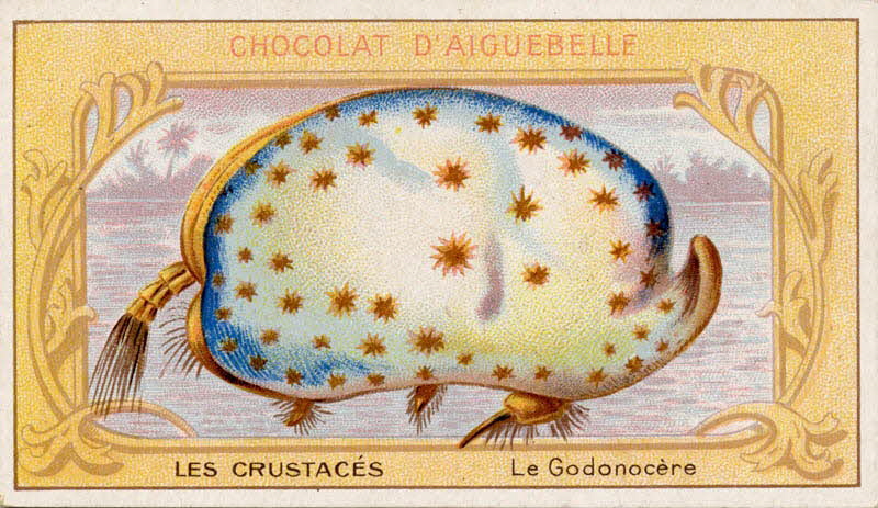 Edition de la Chocolaterie d'Aiguebelle carte réclame chromo Aiguebelle 1900-1919 1996.40.366.3 Photo