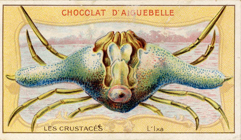 Edition de la Chocolaterie d'Aiguebelle carte réclame chromo Aiguebelle 1900-1919 1996.40.366.4 Photo