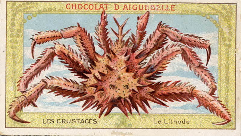 Edition de la Chocolaterie d'Aiguebelle carte réclame chromo Aiguebelle 1900-1919 1996.40.366.5 Photo