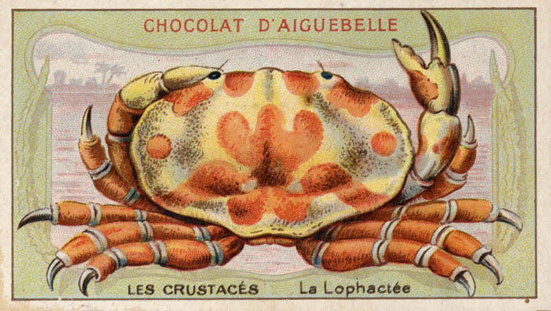Edition de la Chocolaterie d'Aiguebelle carte réclame chromo Aiguebelle 1900-1919 1996.40.366.6 Photo