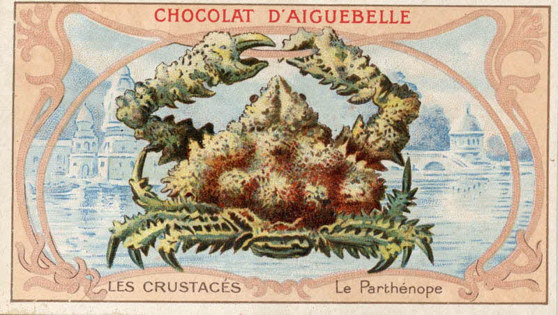 Edition de la Chocolaterie d'Aiguebelle carte réclame chromo Rhône-Alpes, France 1900-1919 1996.40.366.7 Photo