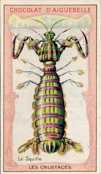 Edition de la Chocolaterie d'Aiguebelle carte réclame chromo Aiguebelle 1900-1919 1996.40.366.8 Photo