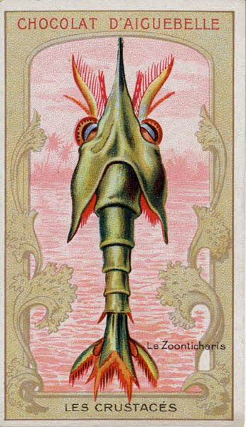 Edition de la Chocolaterie d'Aiguebelle carte réclame chromo Aiguebelle 1900-1919 1996.40.366.9 Photo