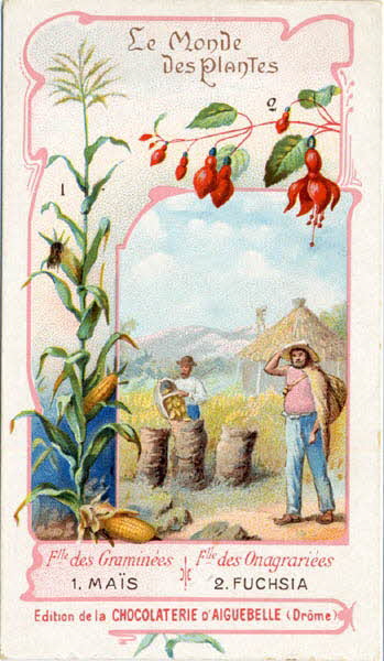 Edition de la Chocolaterie d'Aiguebelle carte réclame chromo Aiguebelle 1900-1919 1996.40.368.5 Photo
