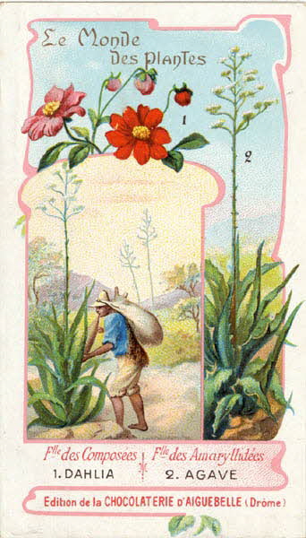 Edition de la Chocolaterie d'Aiguebelle carte réclame chromo Aiguebelle 1900-1919 1996.40.368.4 Photo