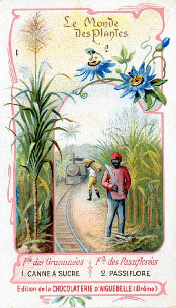 Edition de la Chocolaterie d'Aiguebelle carte réclame chromo Aiguebelle 1900-1919 1996.40.368.2 Photo