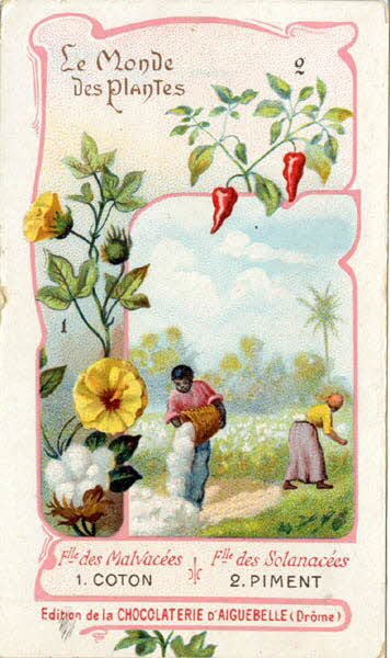 Edition de la Chocolaterie d'Aiguebelle carte réclame chromo Aiguebelle 1900-1919 1996.40.368.3 Photo