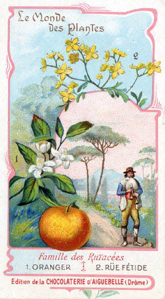 Edition de la Chocolaterie d'Aiguebelle carte réclame chromo Aiguebelle 1900-1919 1996.40.368.6 Photo