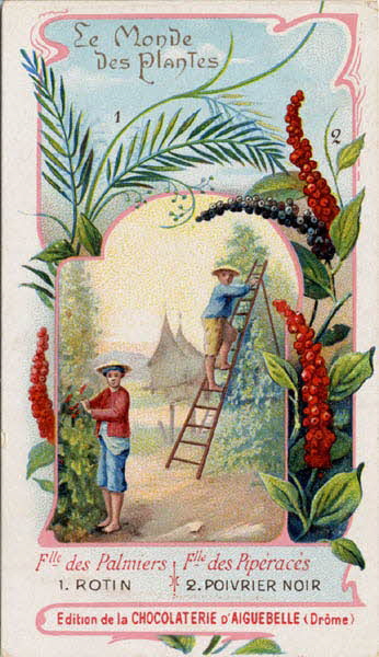 Edition de la Chocolaterie d'Aiguebelle carte réclame chromo Aiguebelle 1900-1919 1996.40.368.7 Photo