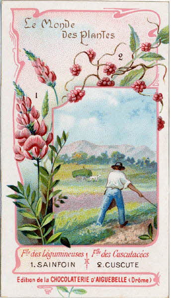 Edition de la Chocolaterie d'Aiguebelle carte réclame chromo Aiguebelle 1900-1919 1996.40.368.8 Photo