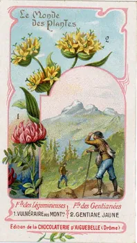 Edition de la Chocolaterie d'Aiguebelle carte réclame chromo Aiguebelle 1900-1919 1996.40.368.9 Photo