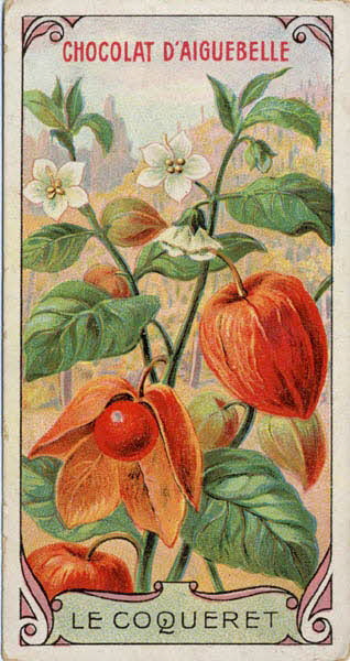 Edition de la Chocolaterie d'Aiguebelle carte réclame chromo Aiguebelle 1900-1919 1996.40.369.1 Photo