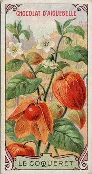 Edition de la Chocolaterie d'Aiguebelle carte réclame chromo Aiguebelle 1900-1919 1996.40.369.1  Photo