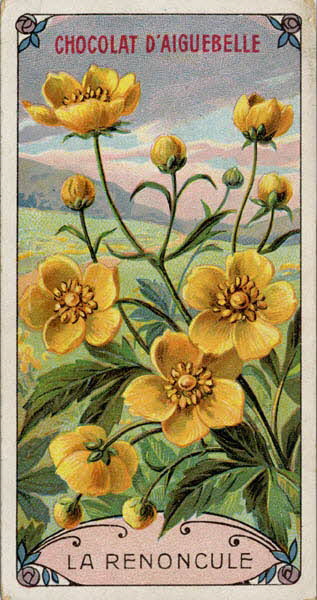 Edition de la Chocolaterie d'Aiguebelle carte réclame chromo Aiguebelle 1900-1919 1996.40.369.4 Photo