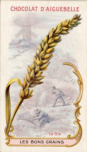 Edition de la Chocolaterie d'Aiguebelle carte réclame chromo Aiguebelle 1900-1919 1996.40.370.1 Photo