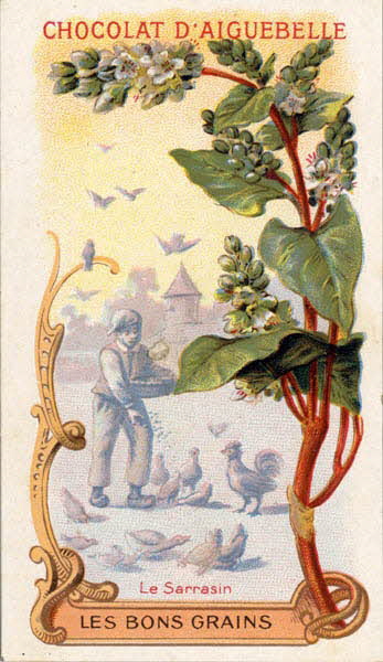 Edition de la Chocolaterie d'Aiguebelle carte réclame chromo Aiguebelle 1900-1919 1996.40.370.5 Photo