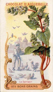 Edition de la Chocolaterie d'Aiguebelle carte réclame chromo Aiguebelle 1900-1919 1996.40.370.5 Photo