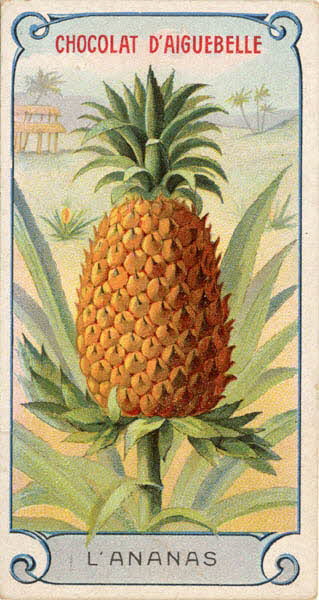 Edition de la Chocolaterie d'Aiguebelle carte réclame chromo Aiguebelle 1900-1919 1996.40.373.1 Photo