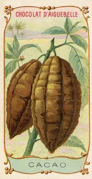 Edition de la Chocolaterie d'Aiguebelle carte réclame chromo Aiguebelle 1900-1919 1996.40.373.5 Photo