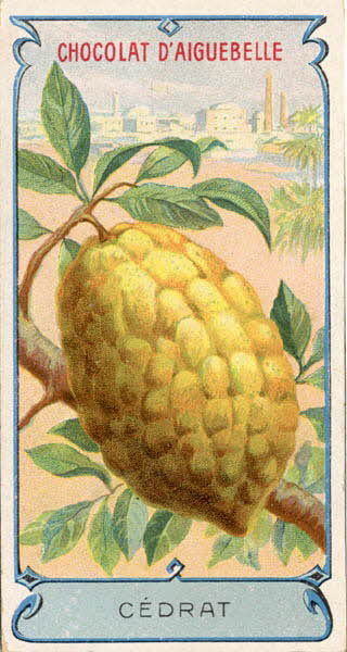 Edition de la Chocolaterie d'Aiguebelle carte réclame chromo Aiguebelle 1900-1919 1996.40.373.7 Photo