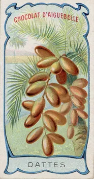 Edition de la Chocolaterie d'Aiguebelle carte réclame chromo Aiguebelle 1900-1919 1996.40.373.8 Photo