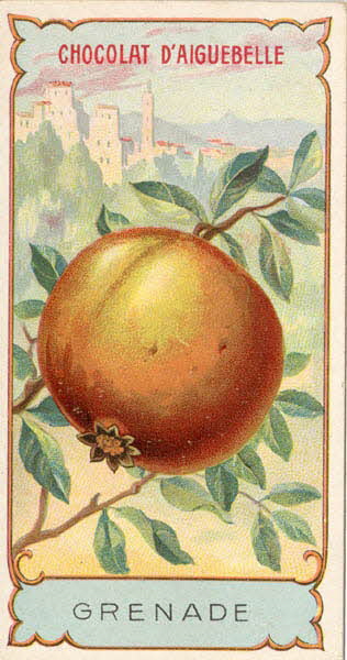 Edition de la Chocolaterie d'Aiguebelle carte réclame chromo Aiguebelle 1900-1919 1996.40.373.12 Photo