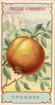 Edition de la Chocolaterie d'Aiguebelle carte réclame chromo Aiguebelle 1900-1919 1996.40.373.12 Photo