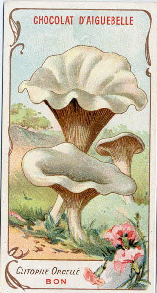 Edition de la Chocolaterie d'Aiguebelle carte réclame chromo Rhône-Alpes, France 1900-1919 1996.40.371.7 Photo