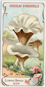 Edition de la Chocolaterie d'Aiguebelle carte réclame chromo Rhône-Alpes, France 1900-1919 1996.40.371.7  Photo