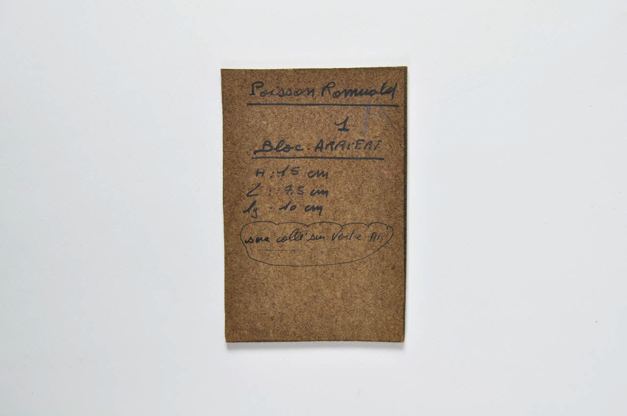 calibre pour sujet de manège 1989 1989.20.2.1 Photo Mucem